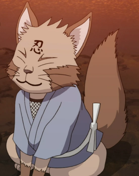 Ninja Cats