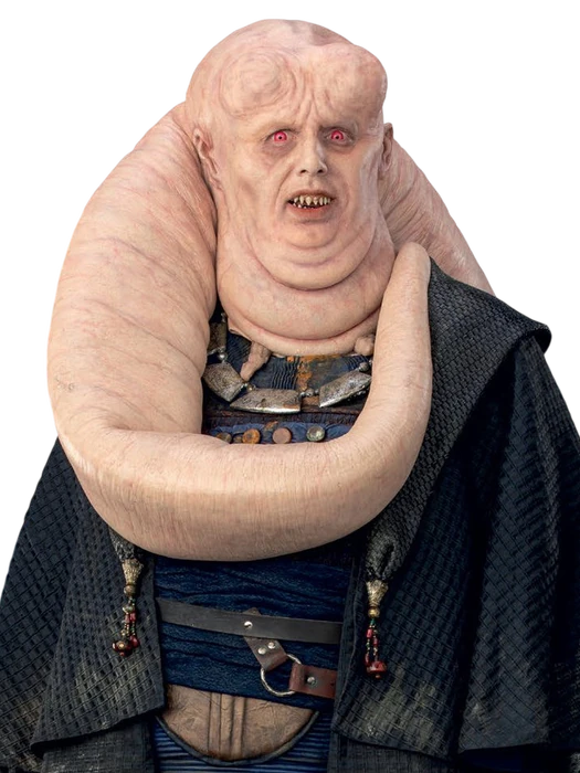 Bib Fortuna