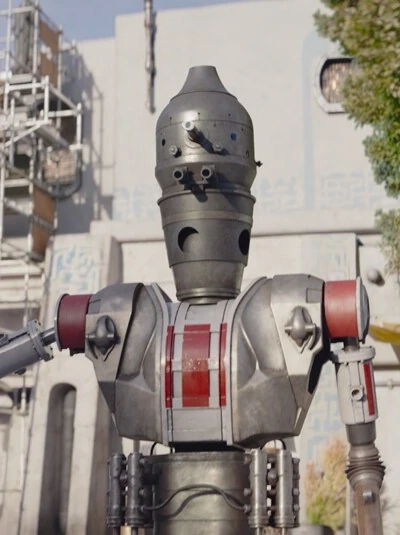 IG-11