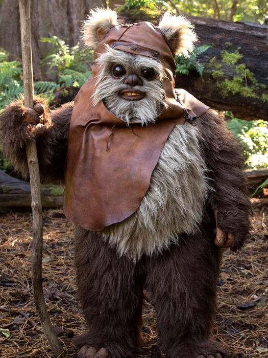 Wicket W. Warrick